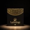 Laddulogy Premium Dry Fruit Laddu