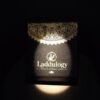 Laddulogy Premium Gond Laddu
